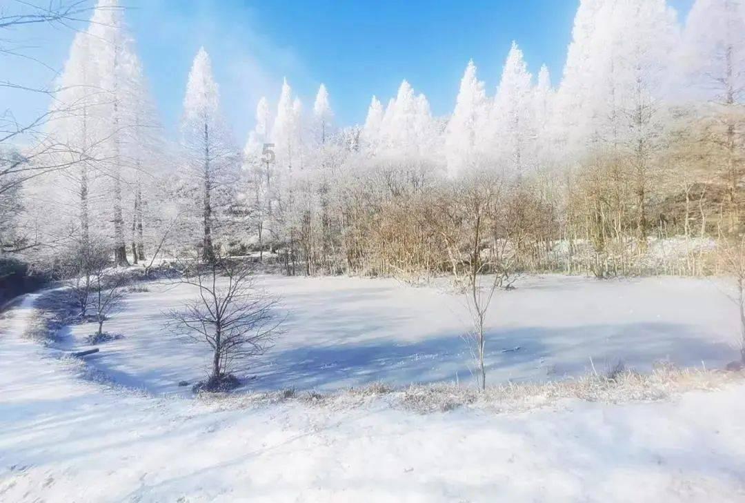 逃离阴森的岛屿