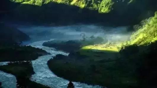野生动物园大逃脱