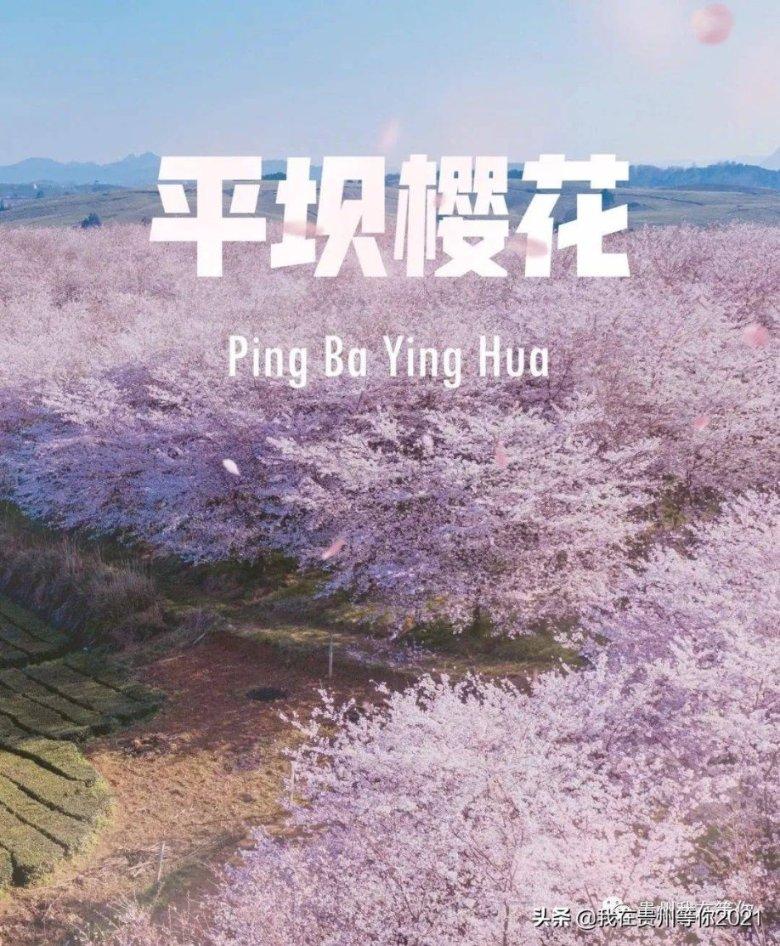 甜蜜的美好回忆