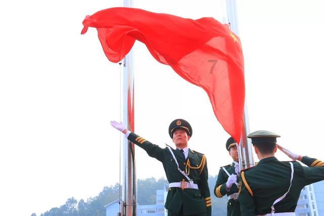 爱吃叶子的毛毛虫