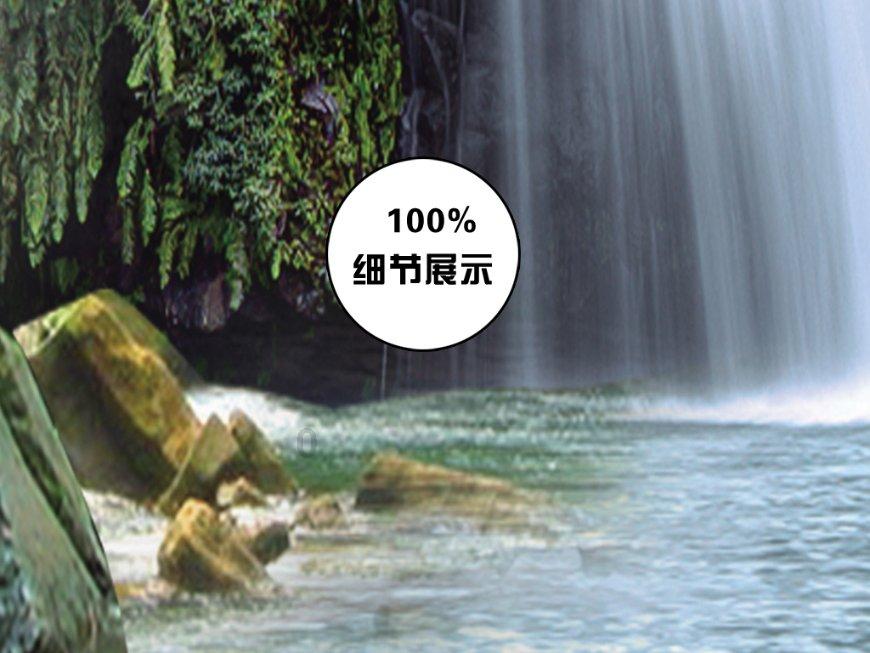 寺院的猫被偷走后，网友炸锅了！如此放肆，也不看看是谁的地盘？
